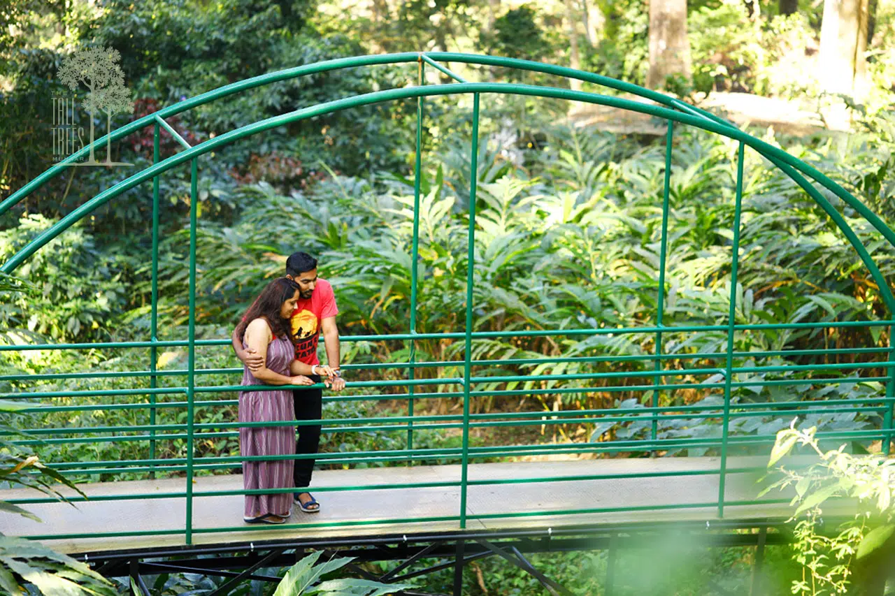 kerala_5star_packages_hanging_bridge