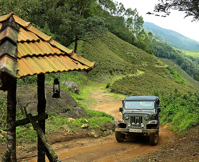 kerala_treehouse_exterior_view